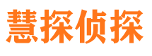 安定市侦探调查公司